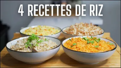 Comment s'appelle le riz indien naturellement parfumé et aux grains très fins ?