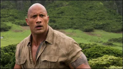 Dwayne Johnson incarne le personnage de Dr. Smolder Bravestone, qui est en réalité l'avatar choisi par un adolescent nommé Spencer lorsque lui et ses amis se retrouvent accidentellement aspirés dans un jeu. Le Dr. Smolder Bravestone est le personnage du "Héros" du jeu, avec une force surhumaine. Quel est ce film ?