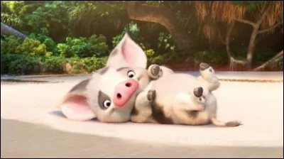 De quelle princesse Disney "Pua" est-il l'animal domestique ?