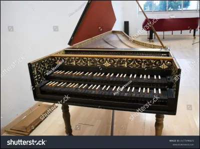 Quel est cet instrument ?