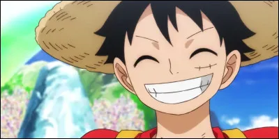 Déjà, quel est le nom de famille de Luffy ?