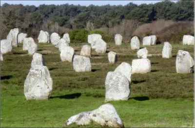 Les alignements de Carnac sont constitus de :