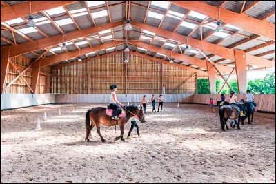 Quelles sont les figures exécutables dans le manège ?