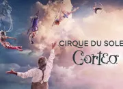 Test Quel rle aimerais-tu avoir dans un cirque ?