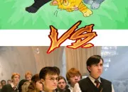 Quiz La Guerre des clans ou Harry Potter ?