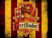 Quiz HP1 - La maison Gryffondor