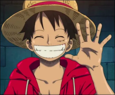 Dans quel animé peut-on retrouver Monkey D. Luffy ?