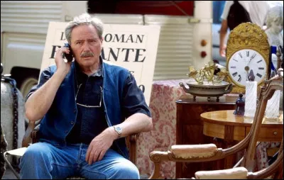 Quel est le nom de l'acteur dans la série télévisée des années 2000 "Louis la Brocante" ?