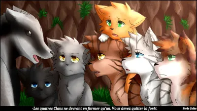 Qui sont les chats sur cette image ?