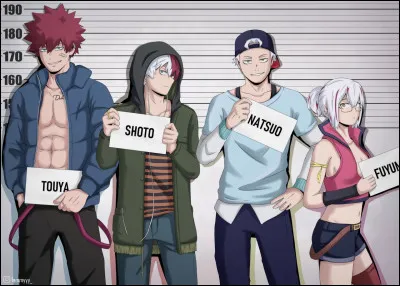 Combien de frères et surs Shoto Todoroki a-t-il en tout ?