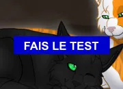 Test Aurais-tu t un guerrier / une guerrire ?