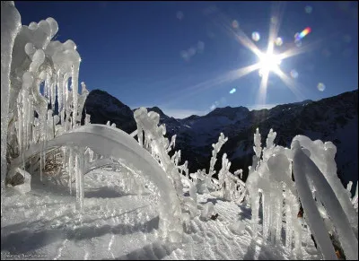 À qui appartiennent les paroles de chanson "L'Hiver est glace, l'été est feu, ici y a jamais de saison pour être mieux" ?