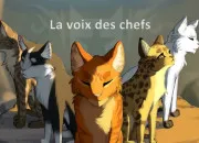 Test Quel chef serais-tu ?