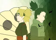 Test Es-tu Temari ou Shikamaru ?