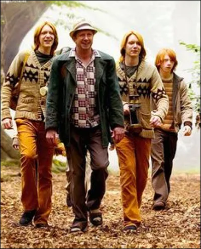 Qui Harry et les Weasley rencontrent-ils dans la forêt ?