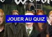 Quiz Quiz sur la plus Gryffondor des familles : la famille Weasley