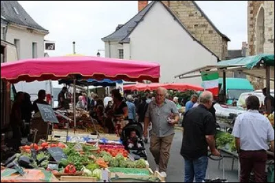 Tous les samedis matin, je fais mon petit tour au marché car la plupart des produits sont ...