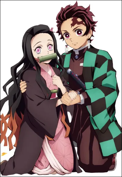 Nezuko et Tanjiro sont :