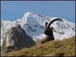 Rserve naturelle depuis 1943, devenu le premier parc national de France, situ dans la Rgion Rhne Alpes, c'est le :