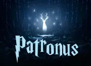 Test Quel est ton patronus dans ''Harry Potter'' ?