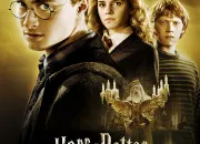 Quiz Quiz 'Harry Potter et le Prince de Sang-Ml'