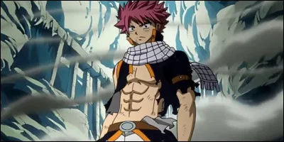 Déjà quel est le nom de famille de Natsu ?