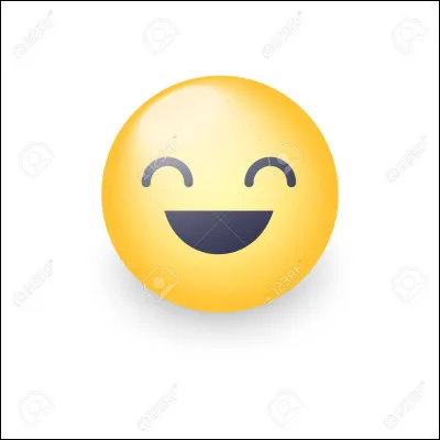 Vous avez lu la description ? C'est juste pour vous expliquer, bon, on commence maintenant !
Mon premier est un sentiment, représenté par le smiley ci-dessus.