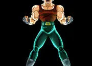 Quiz Qui est ce personnage de ''Dragon Ball'' ?