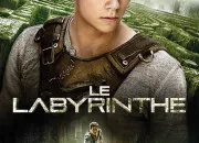 Quiz Le Labyrinthe 1, l'intgral