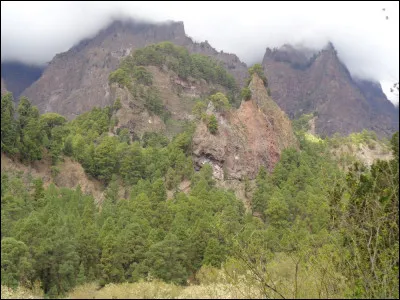 Allons-y par ordre chronologique. Quelle est cette île des Canaries, au nord-ouest de l'archipel, connue pour son volcanisme encore très actif et sa luxuriante forêt de lauriers, surnommée la "Isla Bonita" ou la "Isla Verde" ?