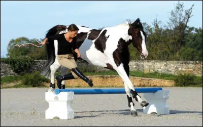 Lorsqu'on est à pied avec son cheval, (par exemple ; seul ou avec des amis dans la carrière), doit-on avoir une protection ?