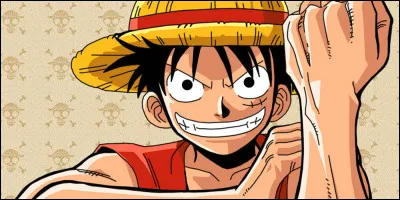 Salut ! Moi c'est Luffy et toi ?