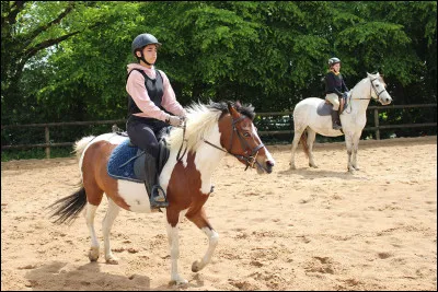 Quelle distance dois-tu respecter avec ton cheval ?