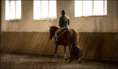 Pour monter à cheval je me place du côté...