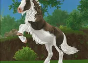 Test Quel cheval es-tu sur ''Star Stable'' ?