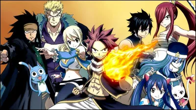 Qu'est-ce que "Fairy Tail" ?