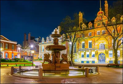 Dans quel pays se trouve la ville de Leicester ?