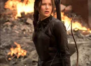 Quiz Hunger Games