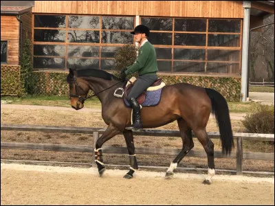 Qu'est-ce qu'une assiette en équitation ?