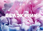 Test Es-tu un(e) vrai(e) blink ? (Fandom de Blackpink)