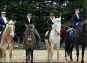 Test Quel est ton Galop  cheval ? 1, 2, 3 ou 4 ?