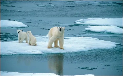 Quel est le principal gaz à effet de serre responsable du réchauffement climatique ?