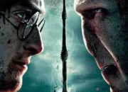 Quiz Harry Potter 7 partie 2 (partie 2)