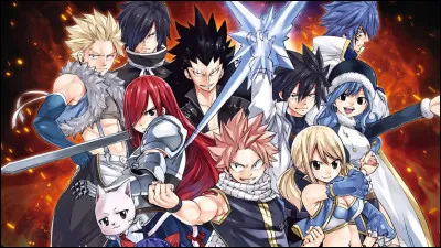 Que veut dire ''Fairy Tail'' en français ?