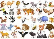 Quiz Animaux : un mle et sa femelle (3)