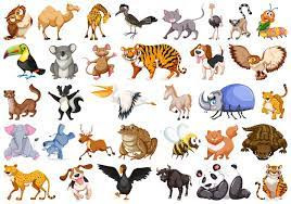 Quiz Animaux