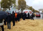 Quiz Agriculteurs : marre d'tre pris pour des truffes par les grosses lgumes !