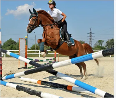 Comment s'appelle la discipline de compétition du saut en carrière, et obstacle mobile ?