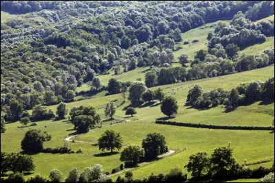 Dans quelle région se situe le département de la Côte-d'Or ?