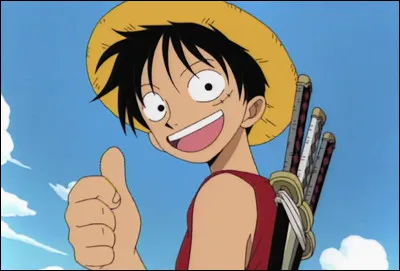 Alors d'abord quel est le nom de famille de Luffy ?